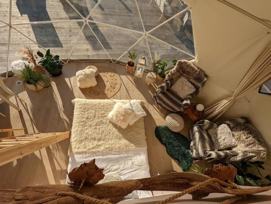 Luxury tent Beautiful Located Dome *