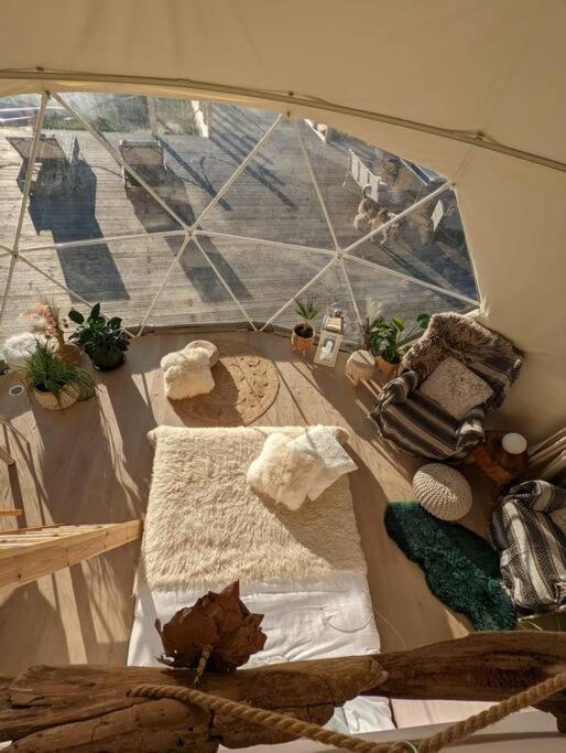 Luxury tent Beautiful Located Dome Wapnica (West Pomeranian)